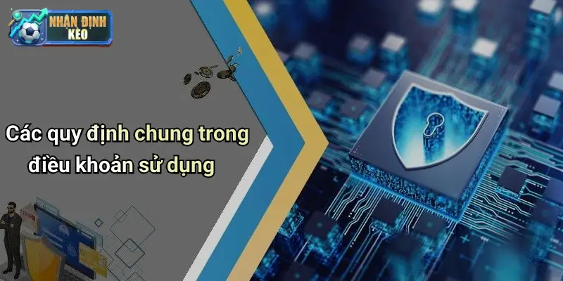 Các quy định chung trong điều khoản sử dụng