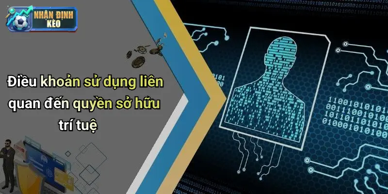 Điều khoản sử dụng liên quan đến quyền sở hữu trí tuệ