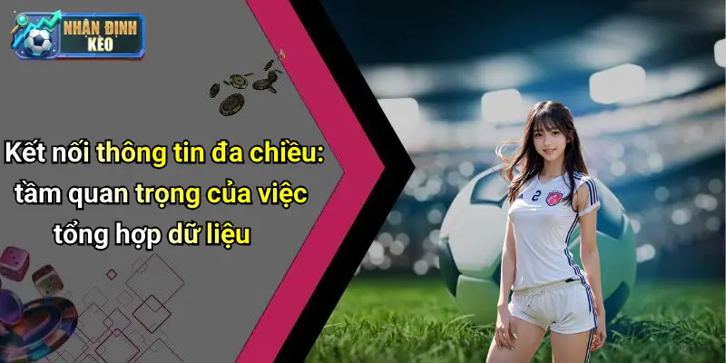 Kết nối thông tin đa chiều: tầm quan trọng của việc tổng hợp dữ liệu