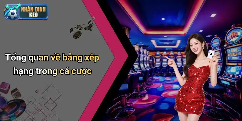 Tổng quan về bảng xếp hạng trong cá cược