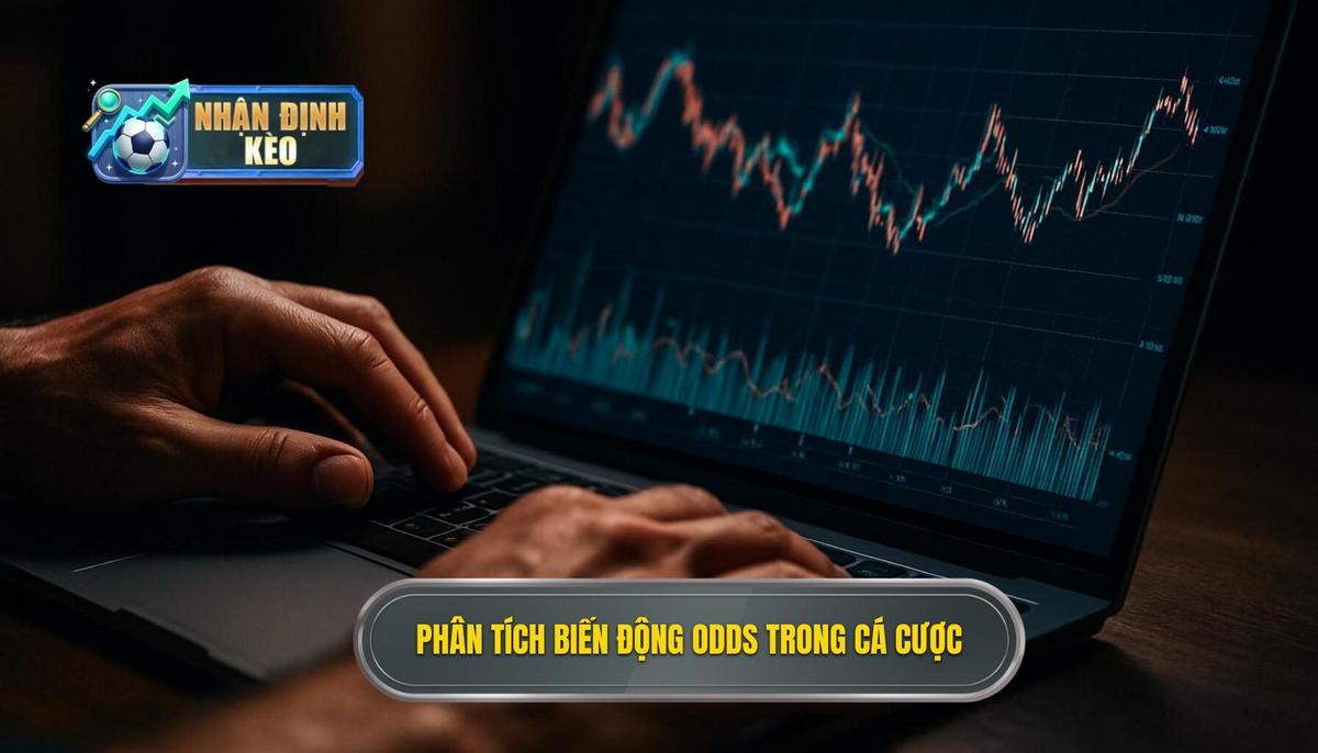 Phân tích biến động Odds và cách nhận diện bẫy nhà cái